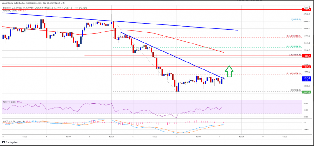 ثبات البيتكوين فوق 43 ألف دولار، لماذا يمكن أن تستعيد BTC مستوى أعلى؟