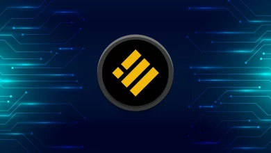 ما هي عملة Binance UCD BUSD