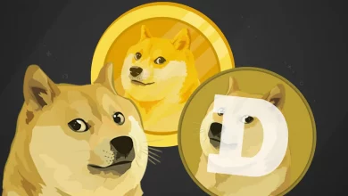 كل ما تريد معرفته عن عملة الدوج كوين DOGE