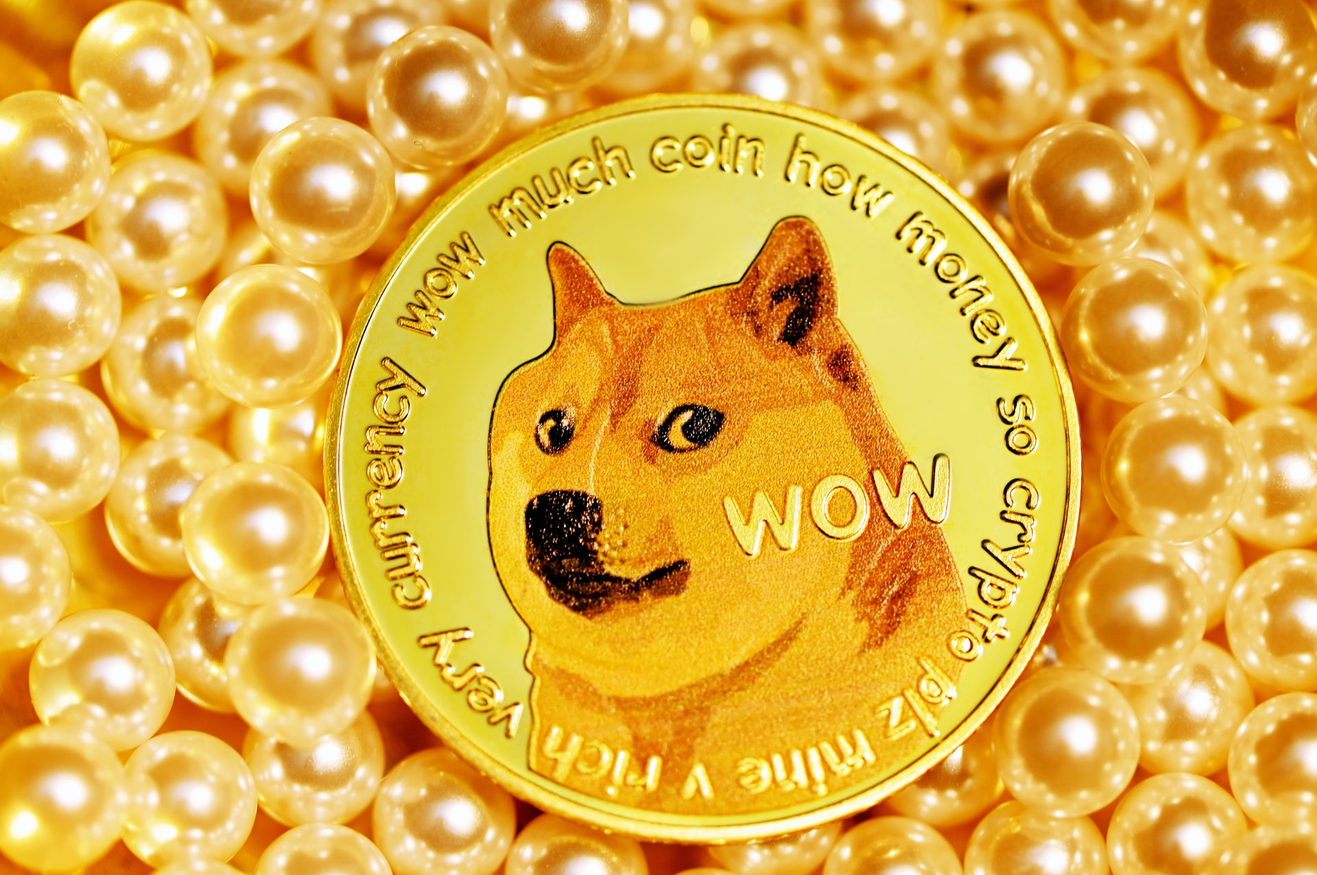 نبذة عن عملة الدوج كوين DOGE