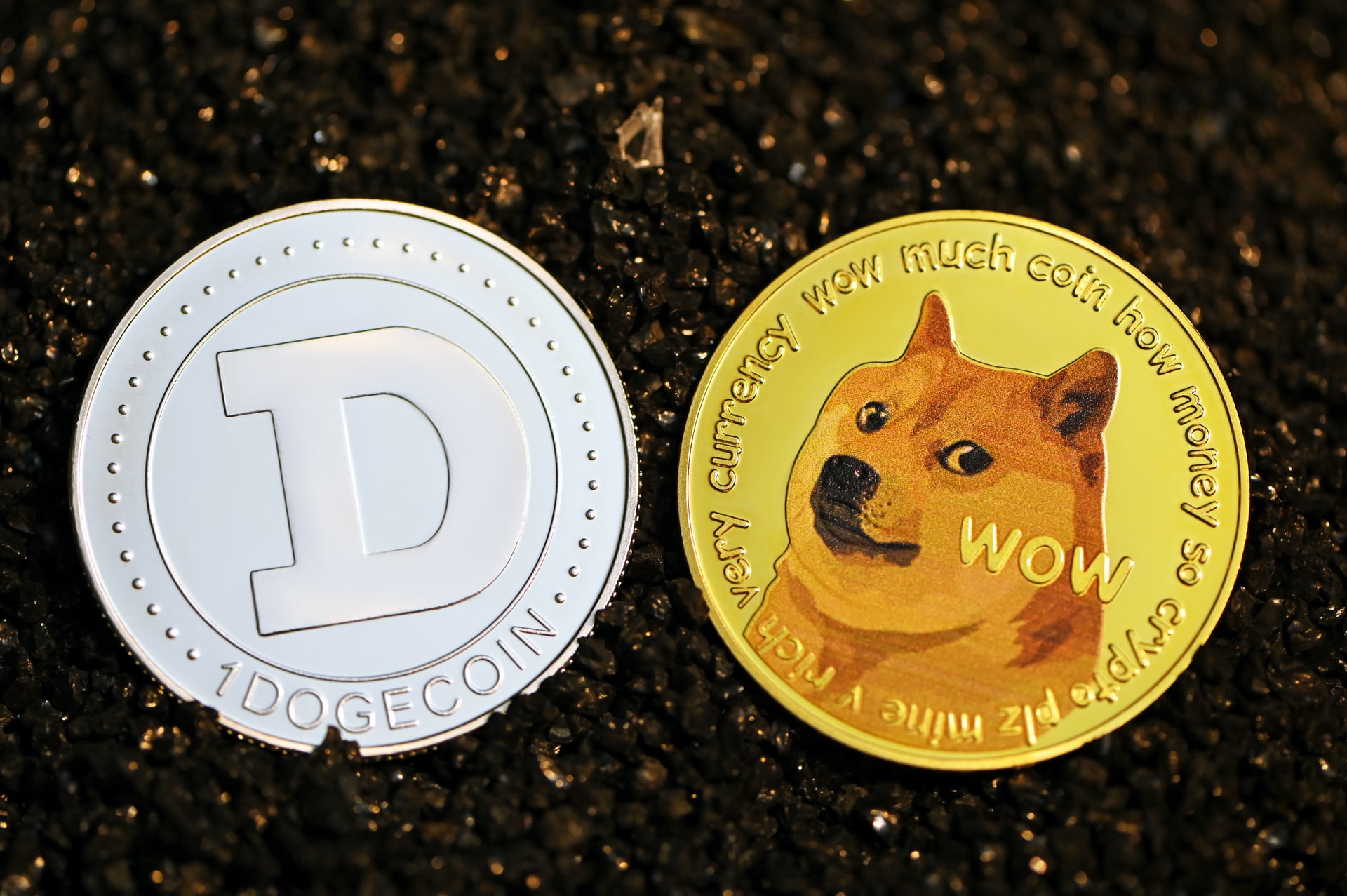 مستقبل عملة الدوج كوين DOGE