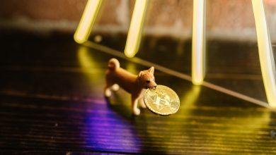 إرسال أول معاملة Dogecoin بدون الإنترنت عبر Radio Doge من قبل المطورين