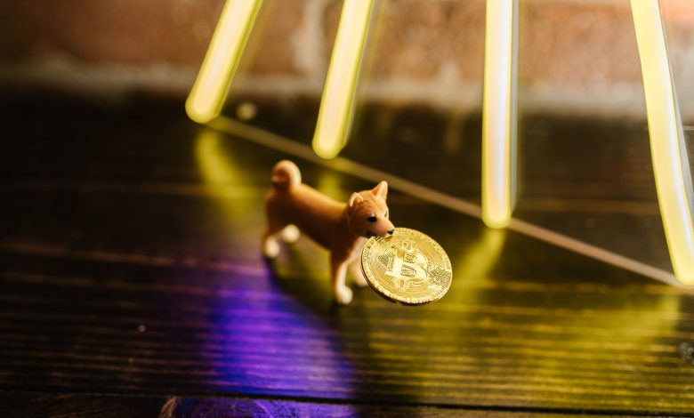 إرسال أول معاملة Dogecoin بدون الإنترنت عبر Radio Doge من قبل المطورين