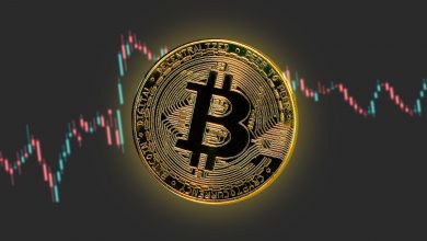 الدليل الشامل عن عملة البيتكوين BTC في 2022
