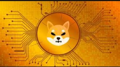 عملة Shiba تصبح أكثر شهرة من Dogecoin في أوروبا بحسب بيانات Google Trends