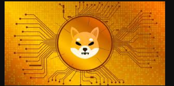 عملة Shiba تصبح أكثر شهرة من Dogecoin في أوروبا بحسب بيانات Google Trends