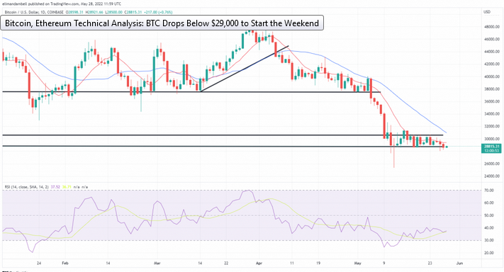 سعر البيتكوين اليوم