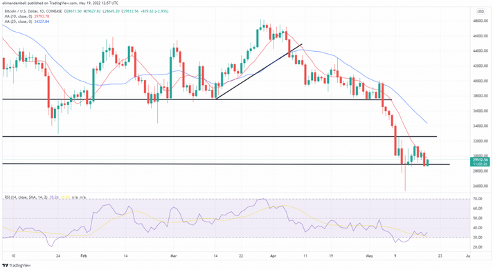 سعر بيتكوين اليوم