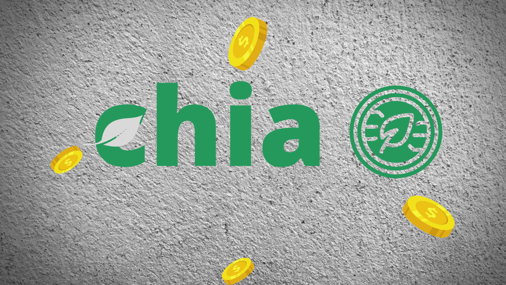 توقع سعر عملة chia