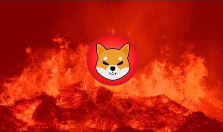 Shiba burn