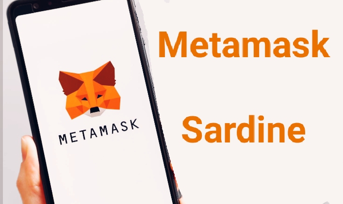 Metamask & Sardine
