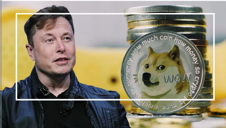 بفضل Elon Musk، ارتفع سعر Dogecoin في الأسبوع الماضي. إذ أثار استحواذ الرئيس التنفيذي لشركة Tesla مؤخرًا على تويتر الإثارة حول أصل التشفير المستند إلى meme.