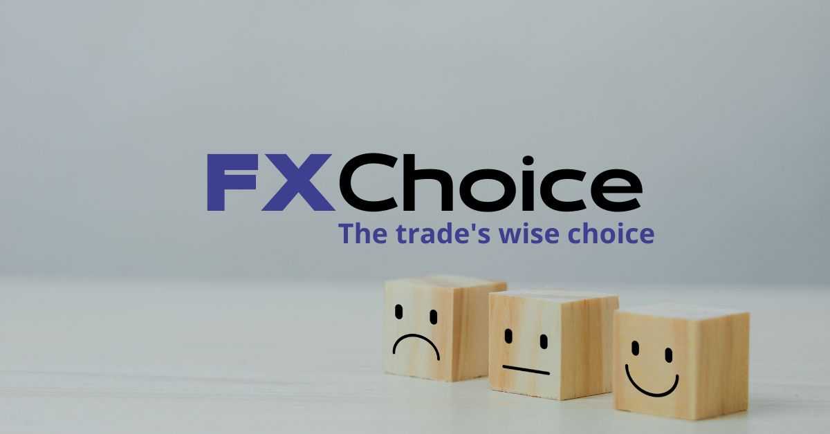 هل شركة FXchoice نصابة