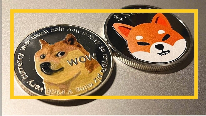 توقع سعر Dogecoin (DOGE) وShiba Inu (SHIB)