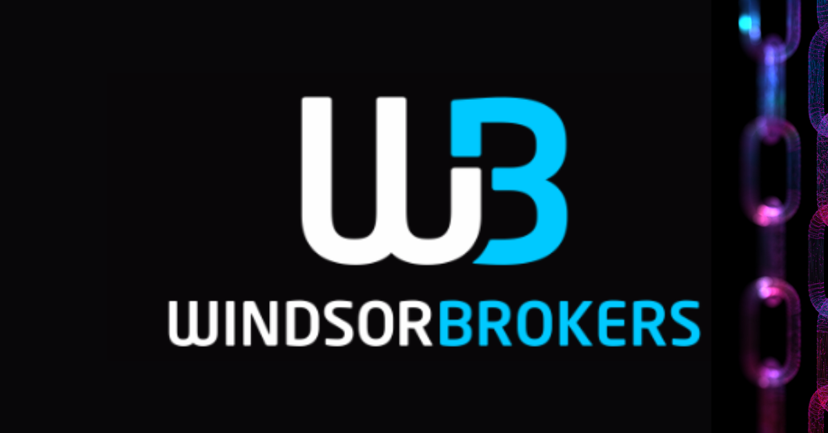 هل شركة windsor brokers نصابة