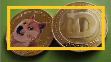 مؤسسة Dogecoin تطلق صندوق تنمية جديد يتكون من 5 ملايين DOGE