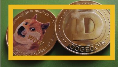 تحرك حيتان Dogecoin أكثر من 500 مليون رمز DOGE
