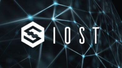 عملة IOST