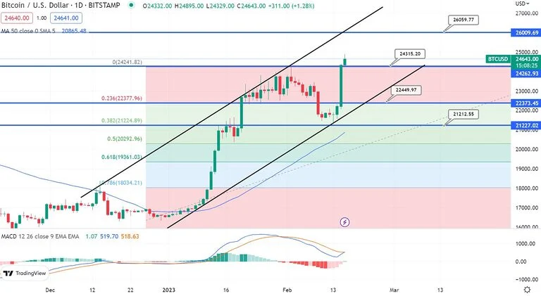 البيتكوين يصل لقمة 25 ألف دولار، كما يتسلق الإيثيريوم القمة أيضًا