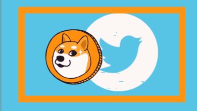 إيلون ماسك يتحدث عن عائدات تويتر، وفشل عملة DOGE