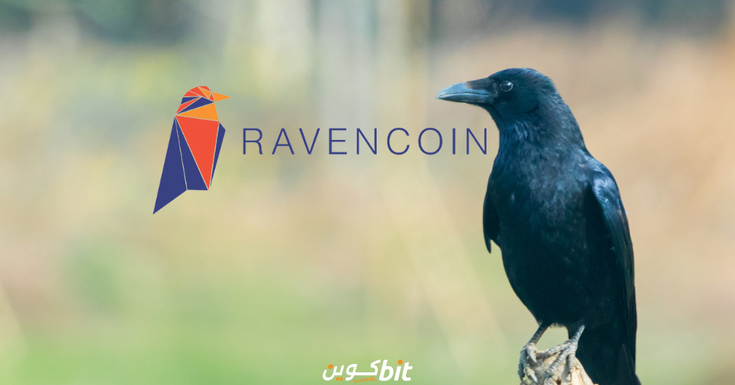 عملة RVN Ravencoin