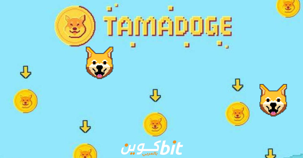 مشروع Tamadoge عملة TAMA