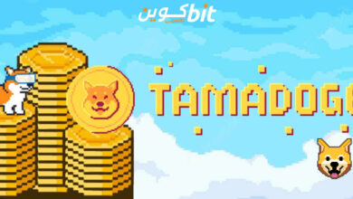 مشروع Tamadoge