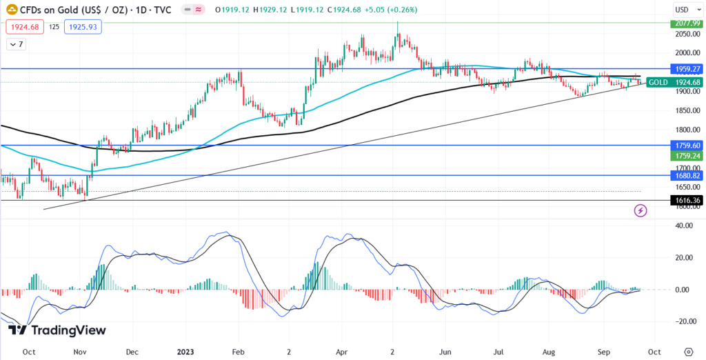 تداول أسعار الذهب (المصدر TradingView)