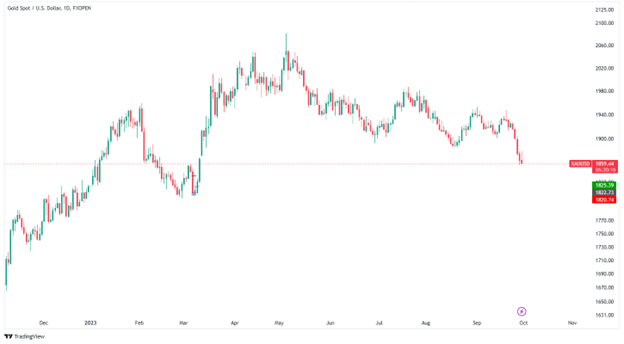 أسعار الذهب اليوم (Trading View)