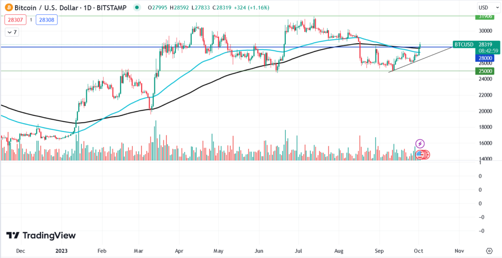 سعر البيتكوين اليوم (TradingView)