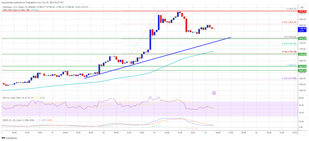 سعر إيثريوم اليوم